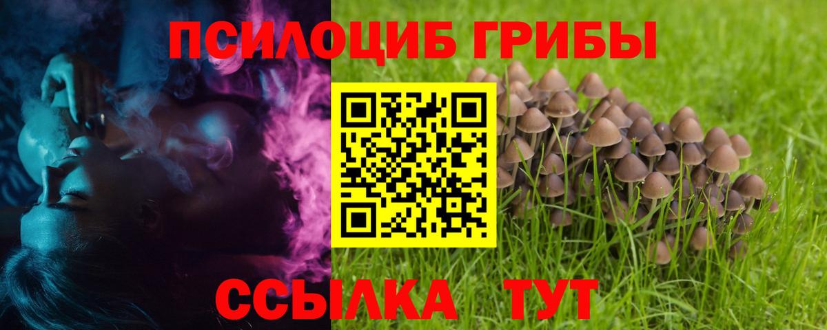 Ртищево  Псилоцибиновые грибы GOLDEN TEACHER  Галлюциногенные грибы ЛСД  Вход с VPN 